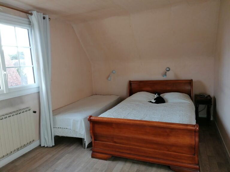 IMG 20250107 151805 768x576